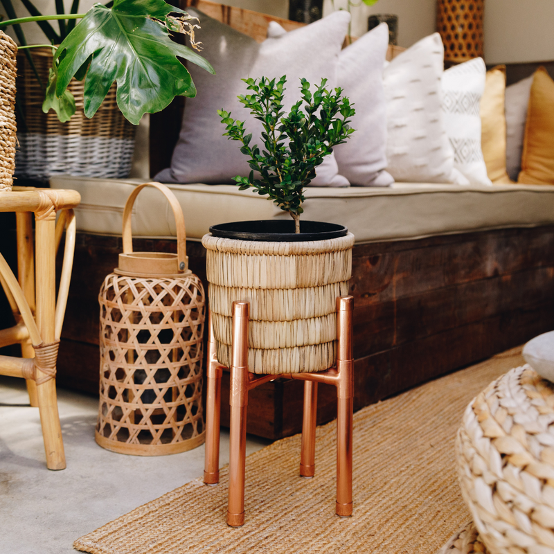 Short Copper Plant Stand